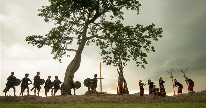 Hòa hợp với muôn loài